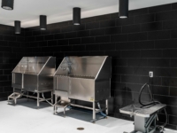 Rambler ATX dog washing stations