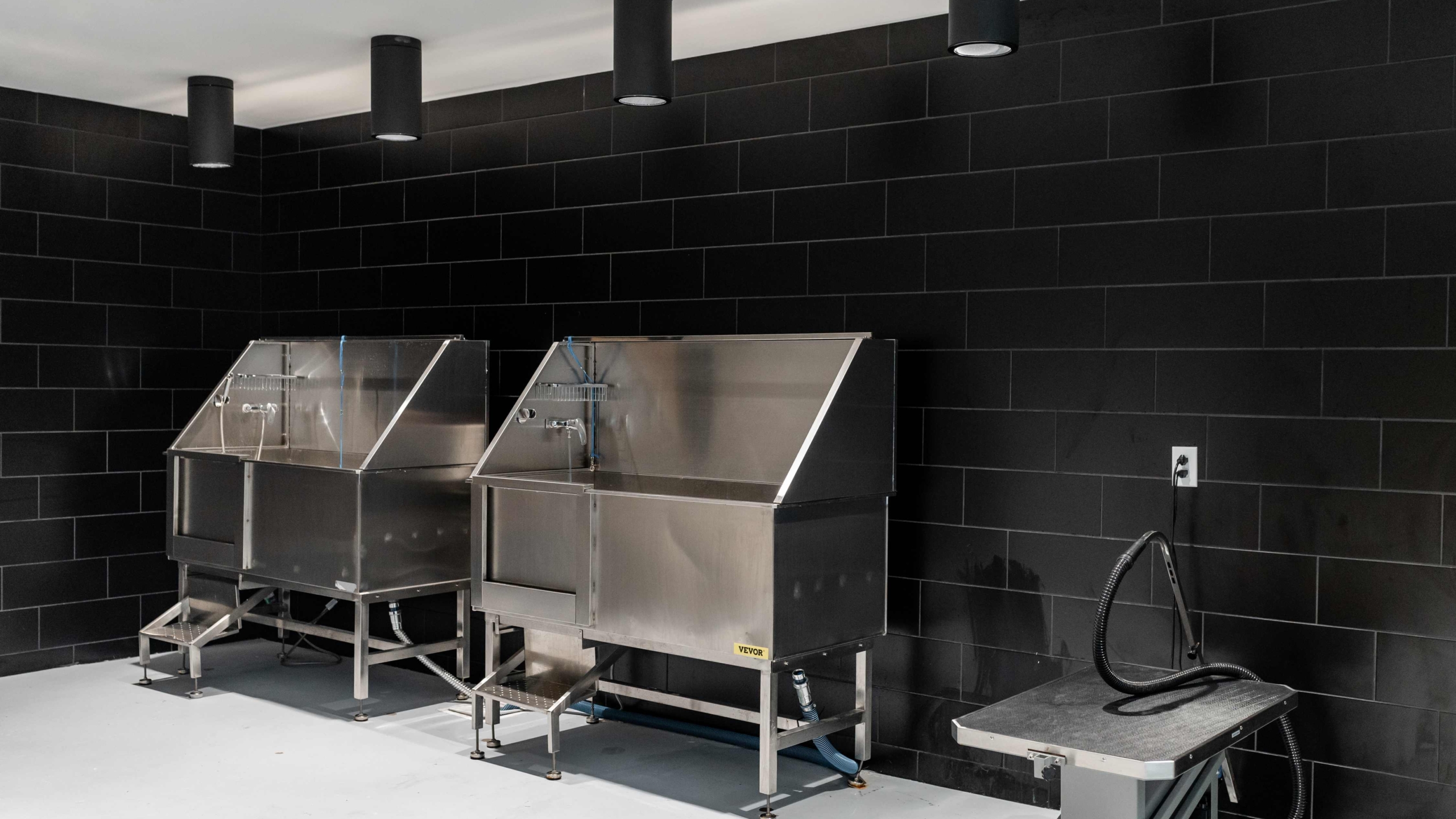 Rambler ATX dog washing stations