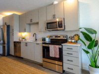 Rambler Model unit kitchen