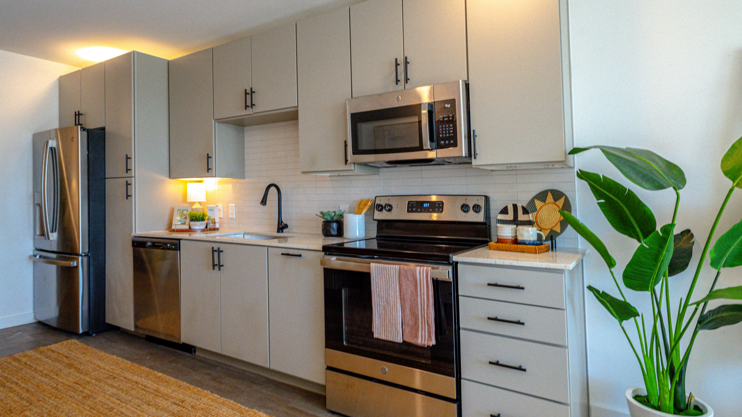 Rambler Model unit kitchen