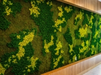 Wall in Rambler's relaxation room.