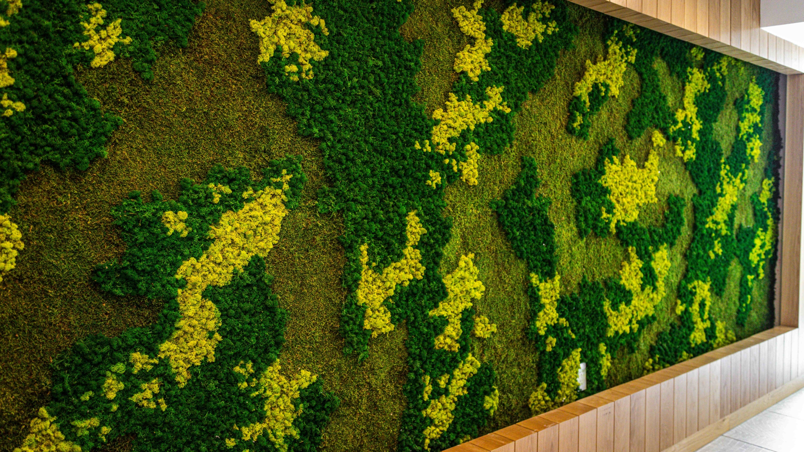 Wall in Rambler's relaxation room.