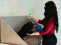Woman washing her dog in Moontower's pet spa