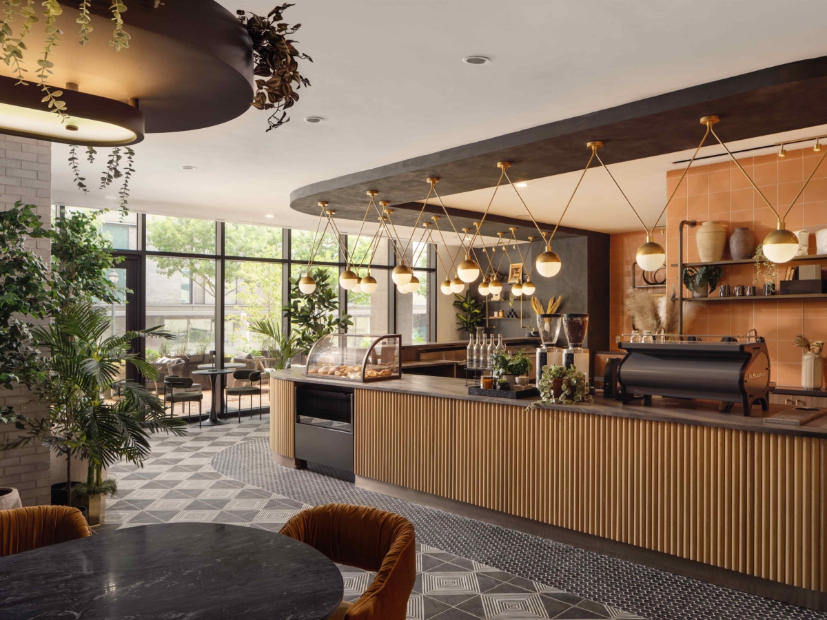 whistler daydreamer 2