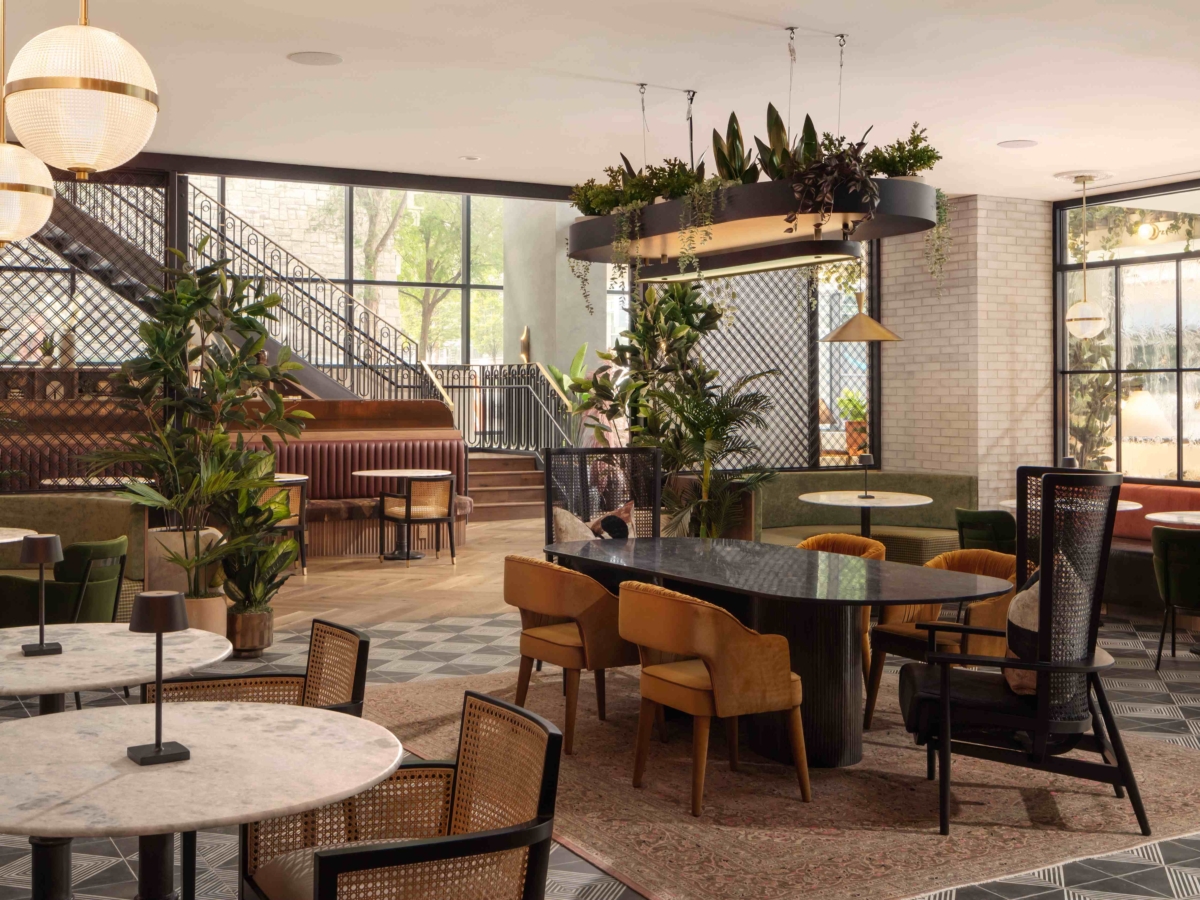 whistler daydreamer 4