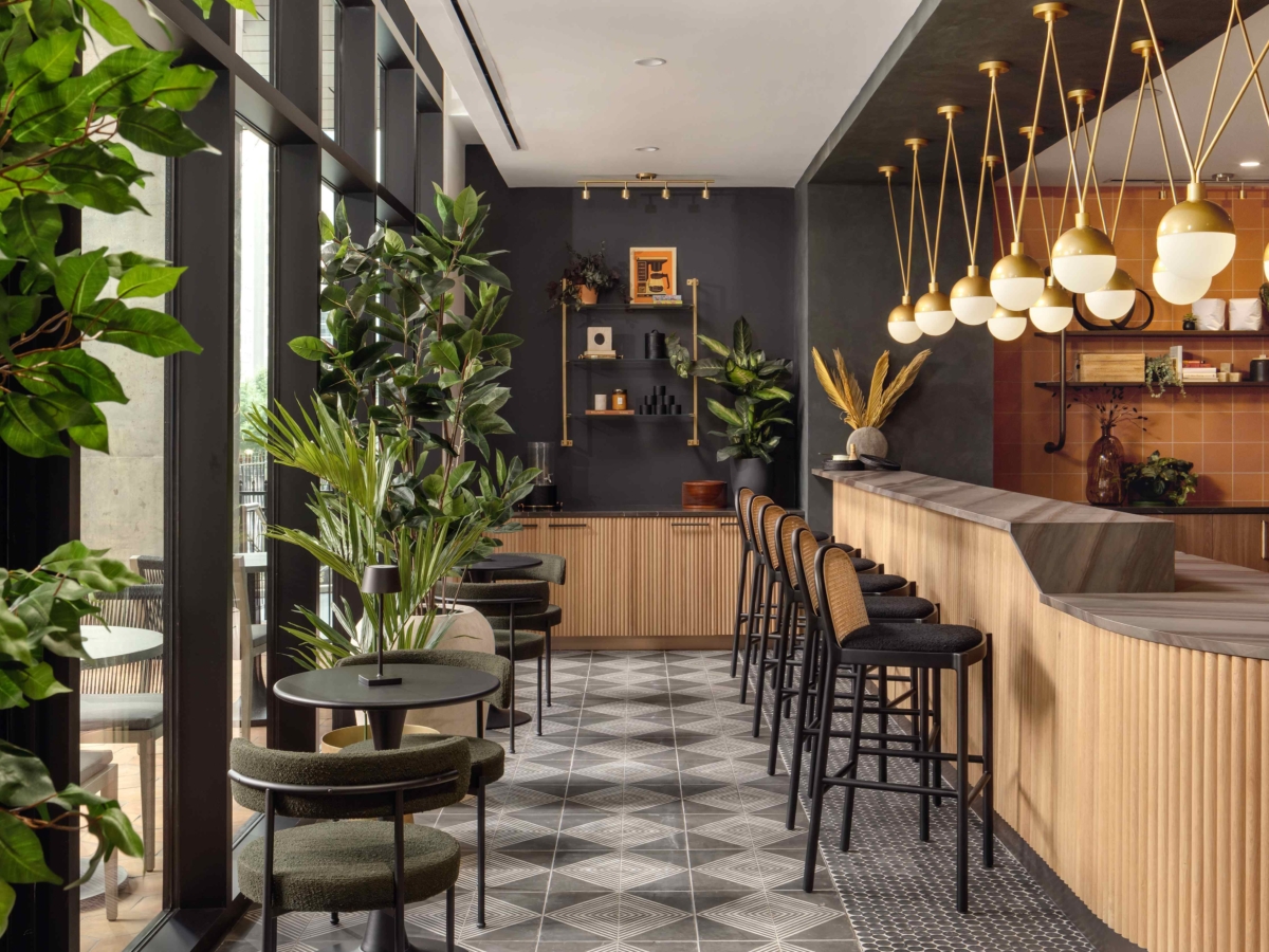 whistler daydreamer 3