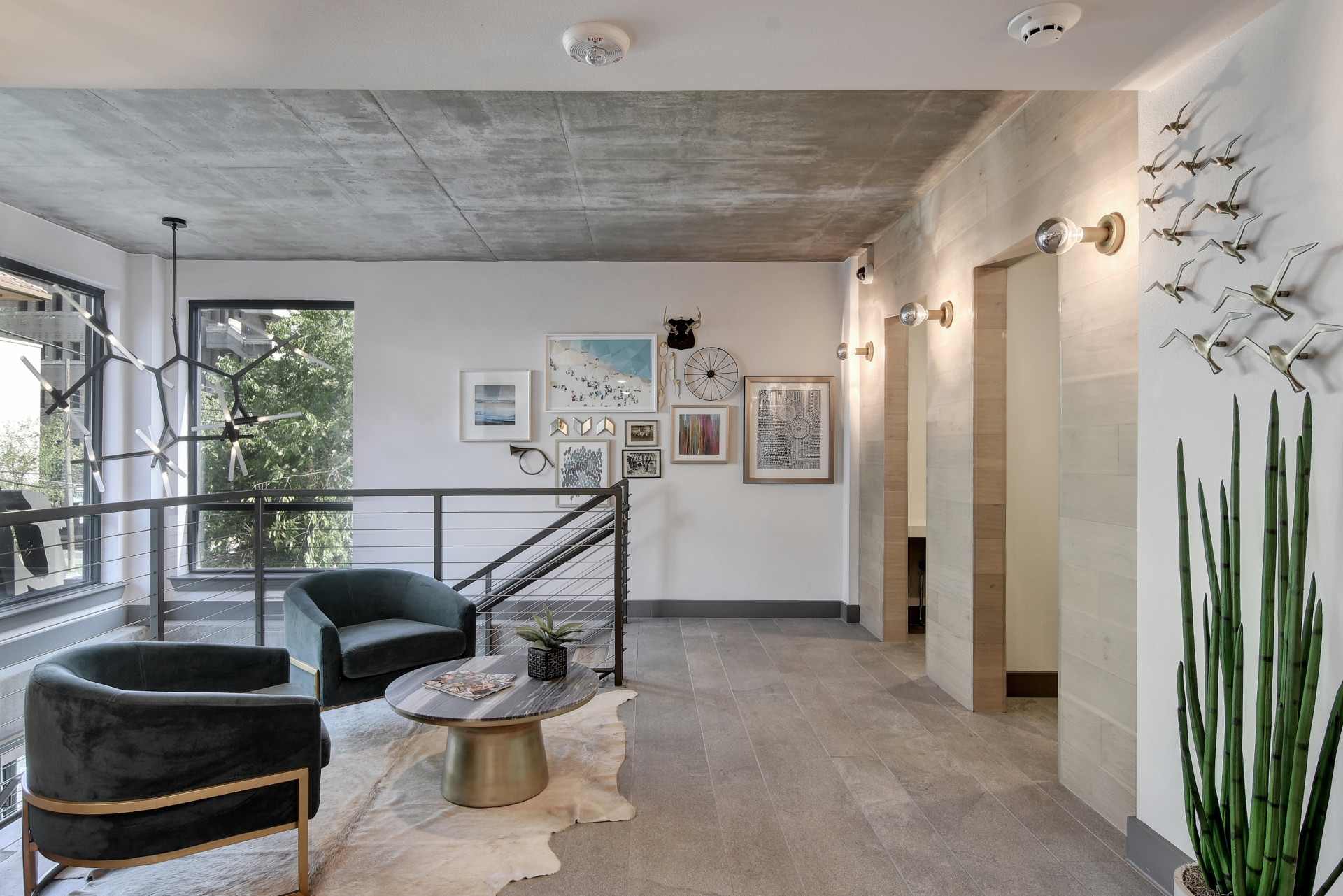 LV Collective The Ruckus Austin, TX