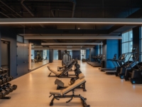 Paseo Gym