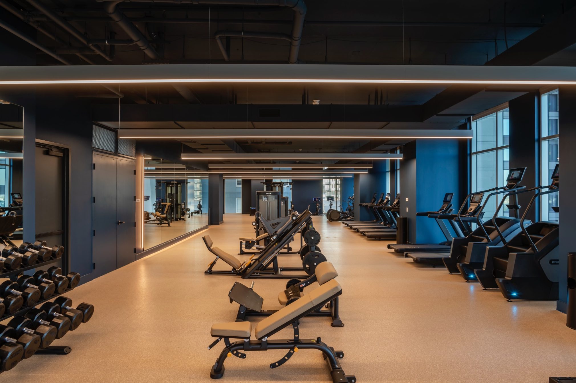 Paseo Gym