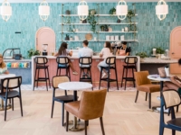 waterloo daydreamer lifestyle