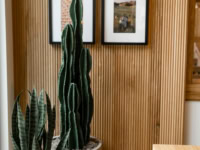 Cactus at Rambler ATX