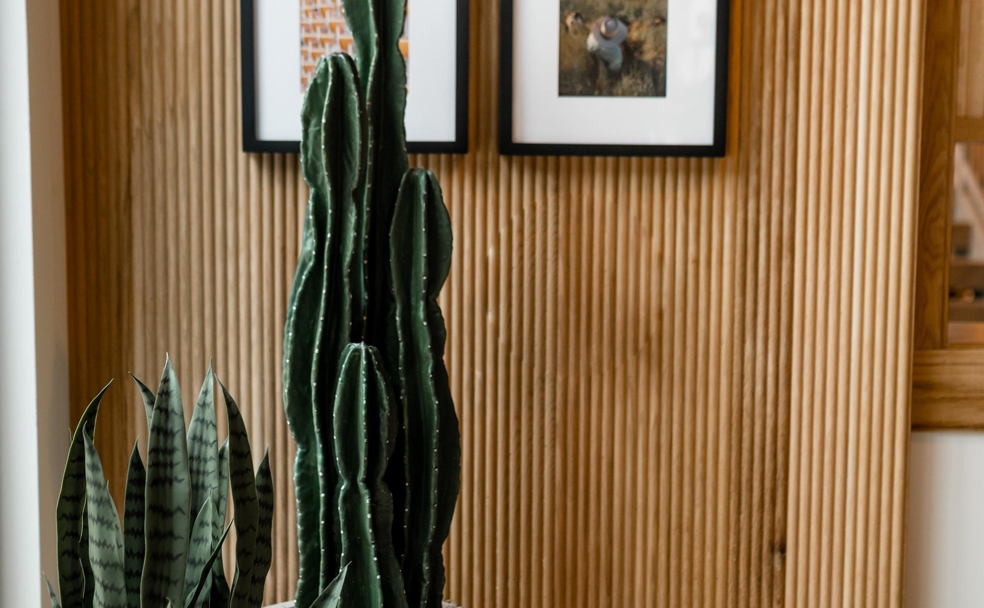 Cactus at Rambler ATX