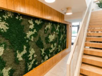 Greenery wall in Rambler ATZ Zen Den
