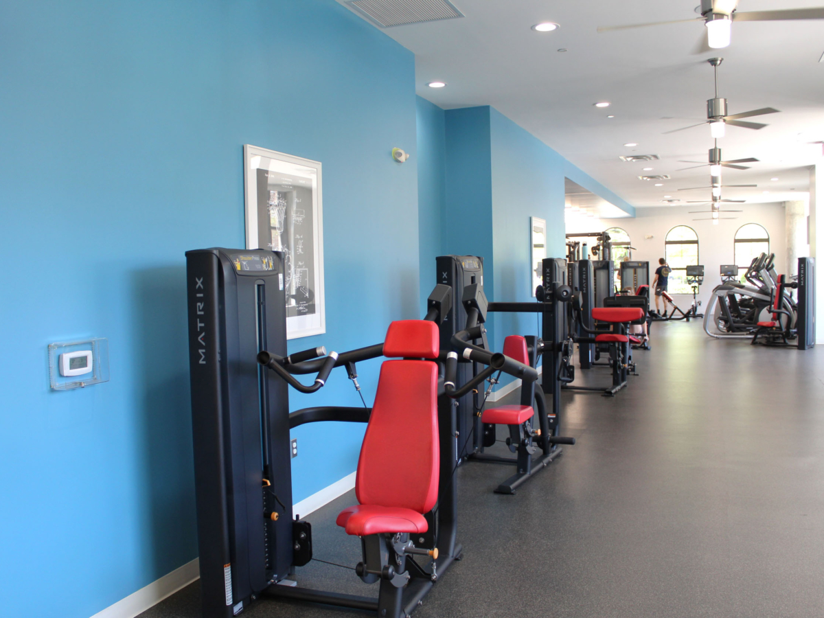 A modern gym with blue walls, red and black weight machines lined up, treadmills in the background, and ceiling fans overhead. The space is brightly lit with natural and artificial light.
