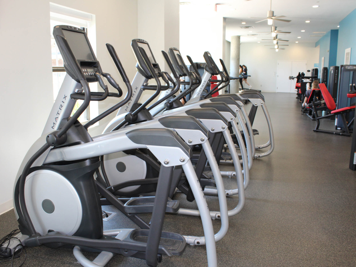 A row of elliptical machines lines one side of a clean, modern gym with exercise equipment and red benches visible in the background under bright, natural light.