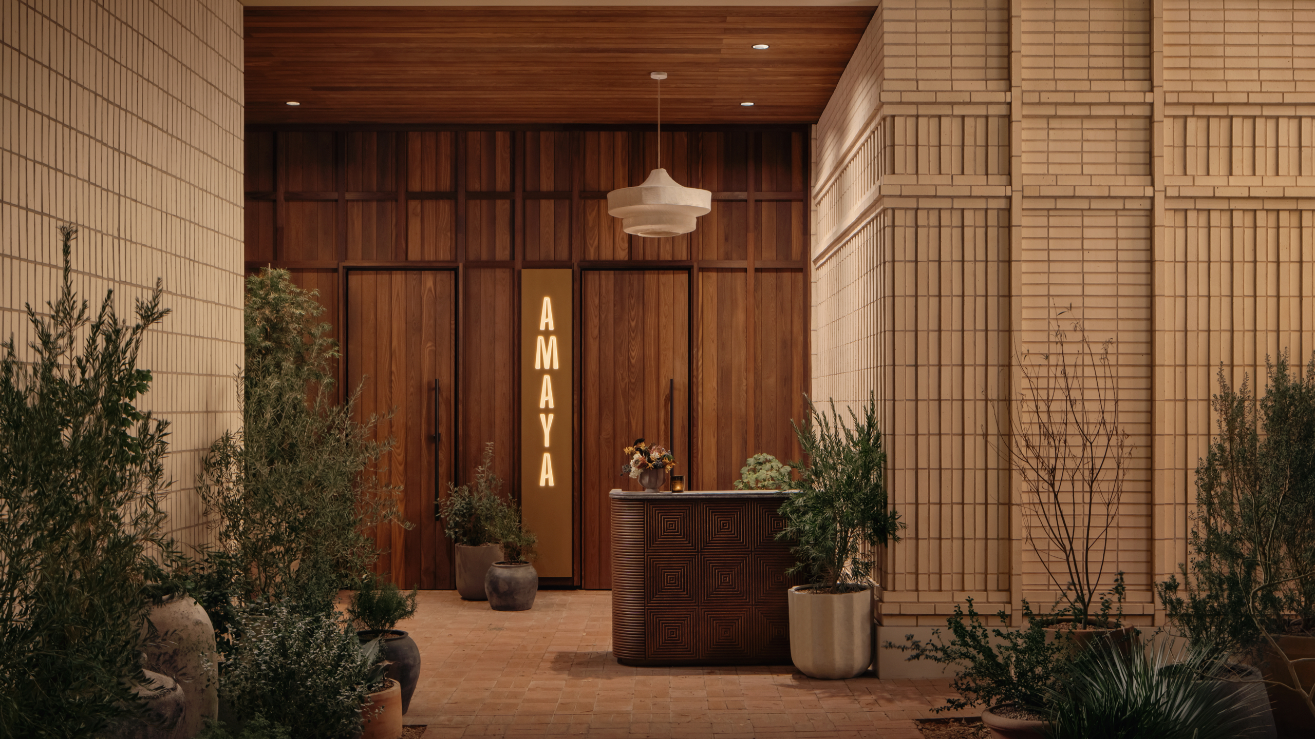 Amaya at Paseo – Chase Daniels